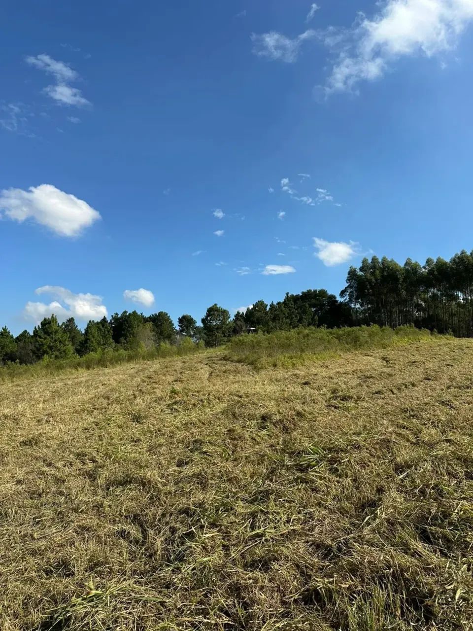 Lotes de 1.000m² em Condomínio Fechado | Mairinque - Foto 4