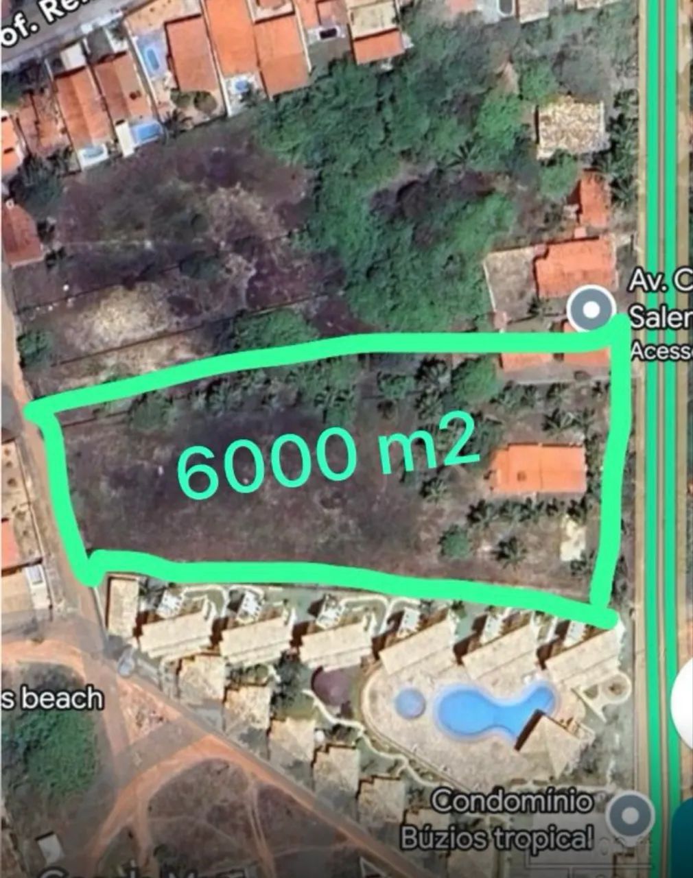 Foto - Nísia Floresta - 