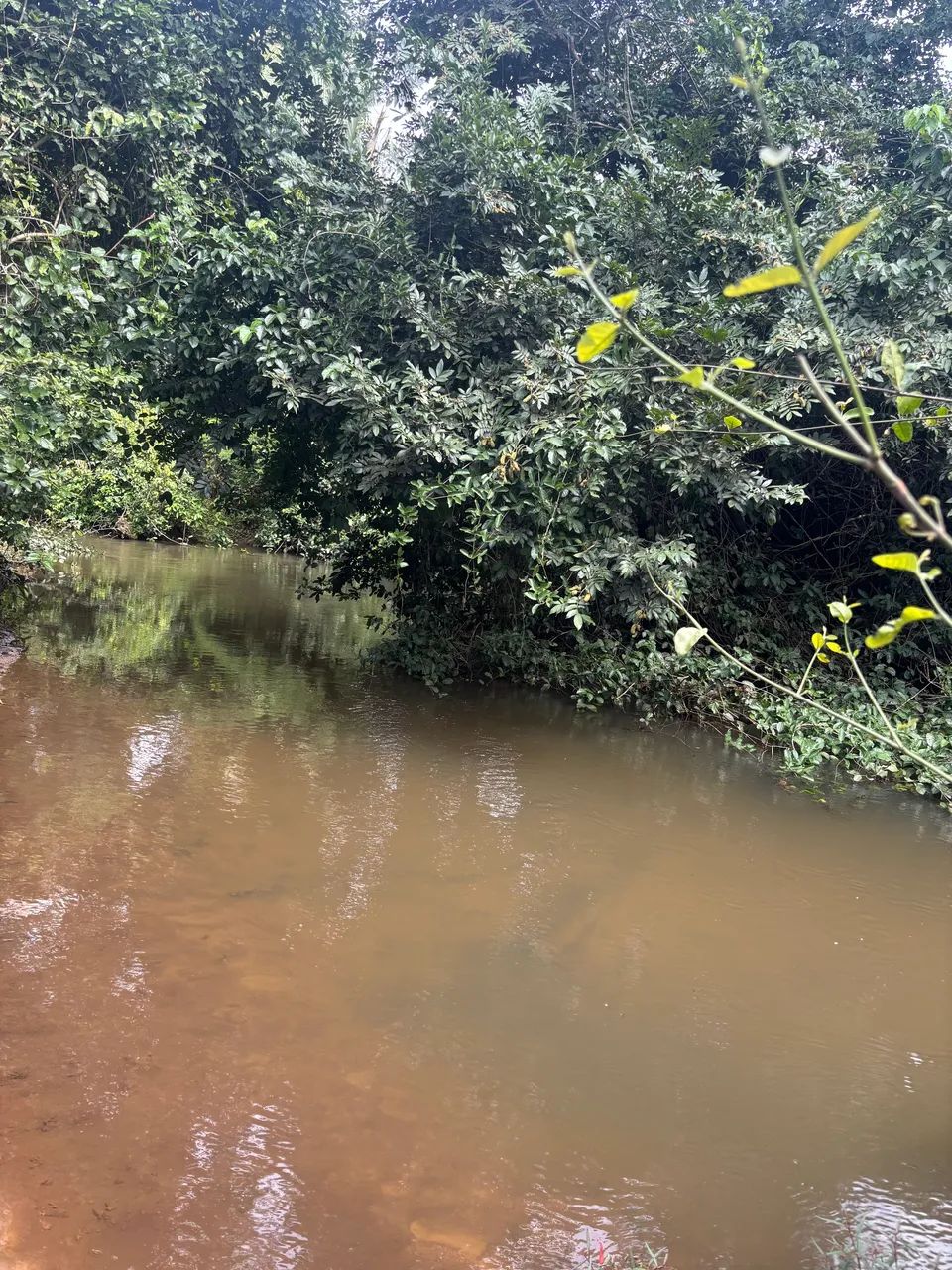 Vendo chácara de 2 Aq. sentido Lajeado  - Foto 2