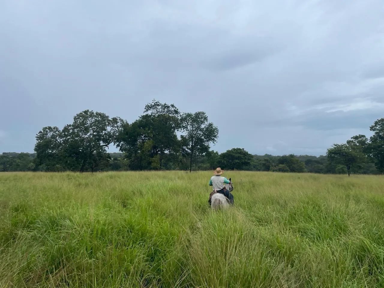 Fazenda Nova crixás-goias  - Foto 4