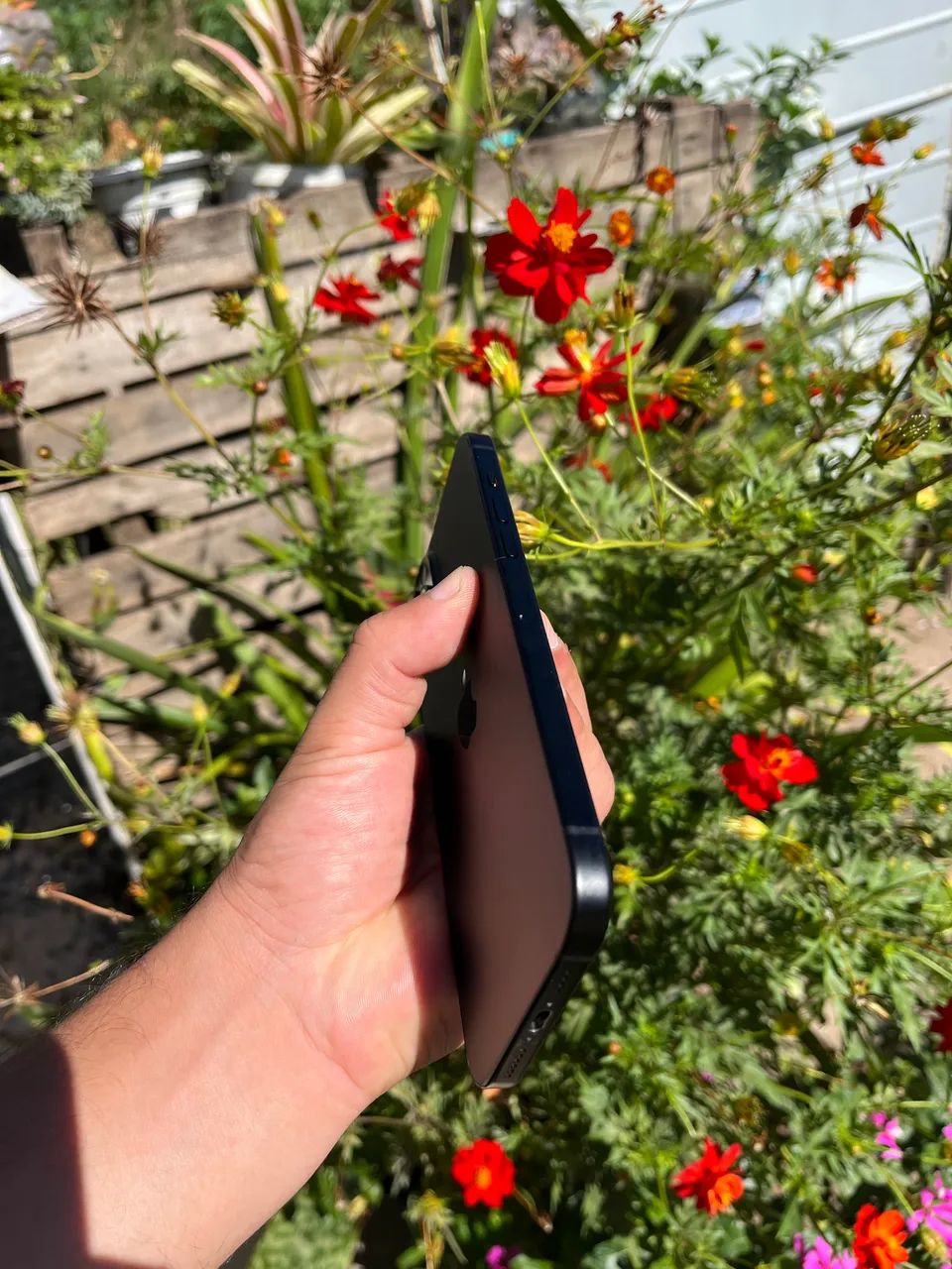 iPhone 15 Plus 
