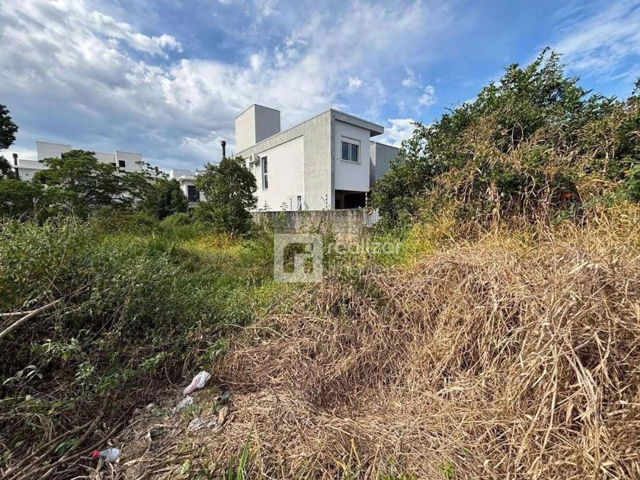 Terreno Residencial à venda, Campeche, Florianópolis - TE0064. - Foto 4