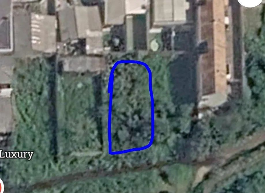 Terreno eucaliptos 