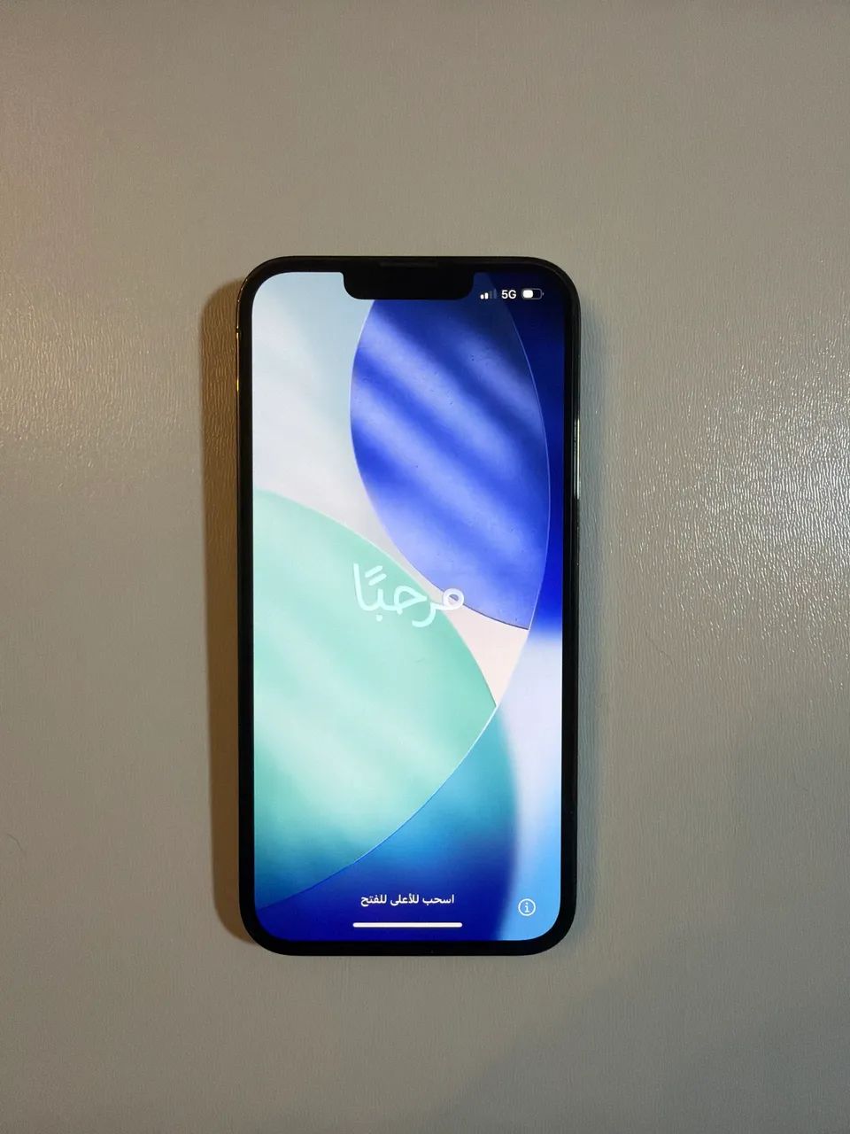 iPhone 13 Pro 256gb com Acessórios