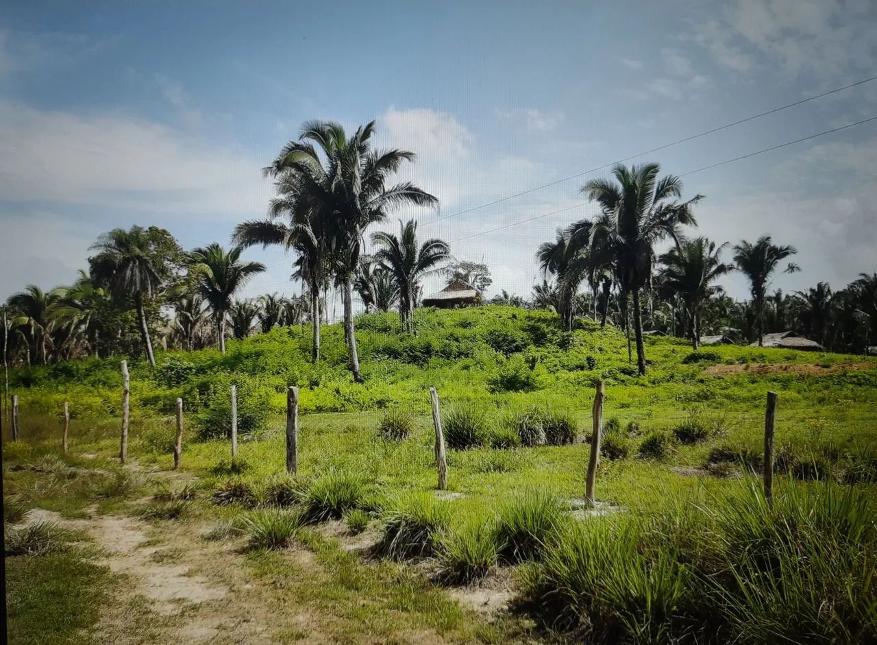 Área 12 HA povoado leite próximo Presidente Vargas - Foto 6
