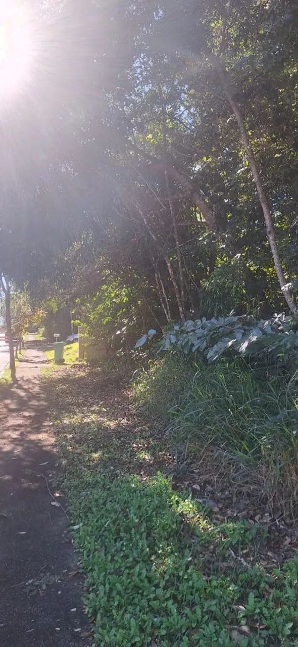 Foto - Brasília - Setor Habitacional Tororó (Jardim Botânico)