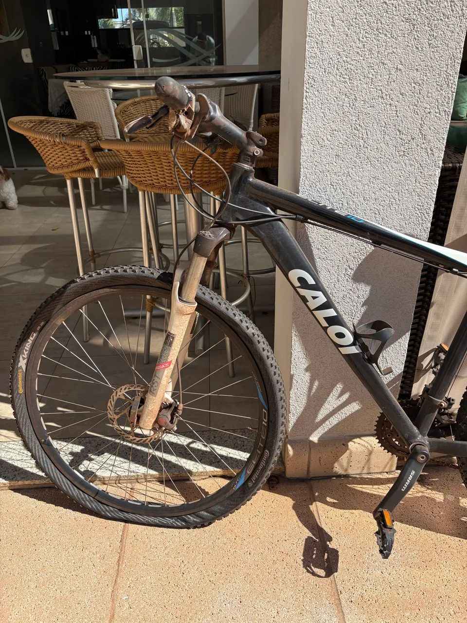 CALOI ELITE 10 ARO 24! À VENDA! - Foto 3