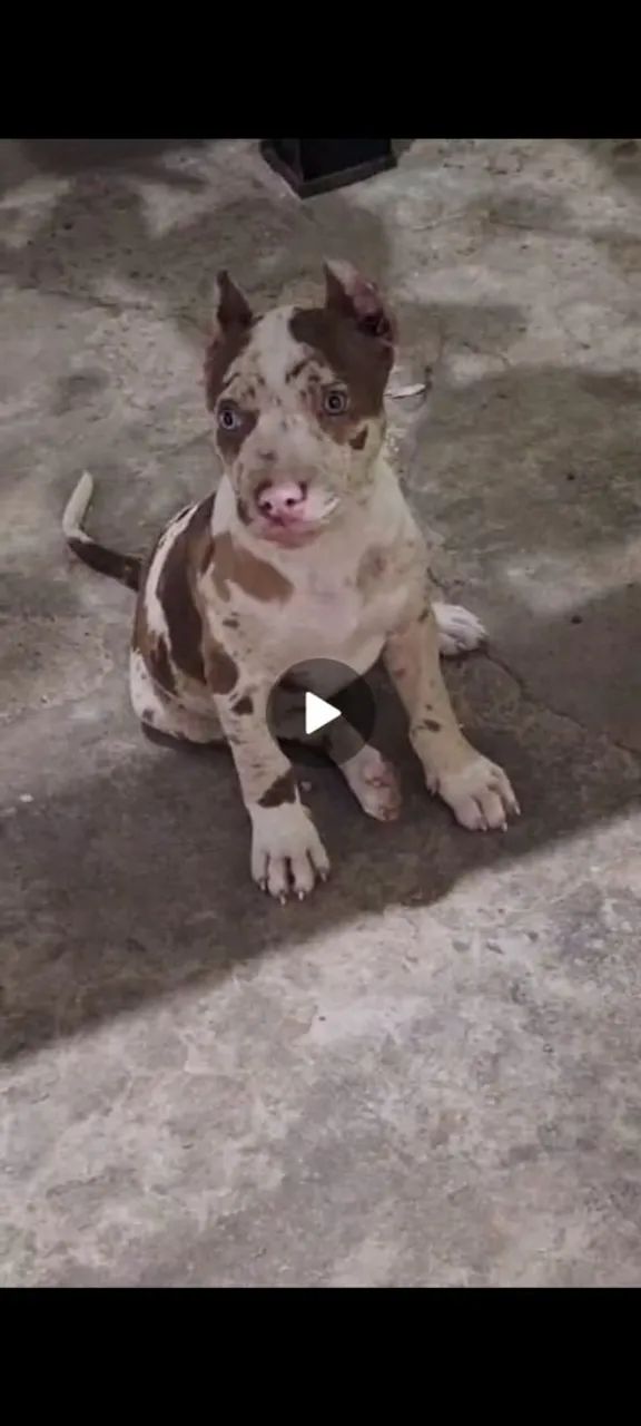 Pit monster