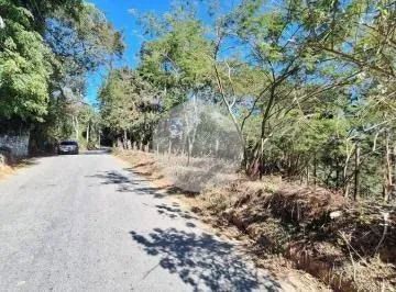 Terreno, Casa e Outros - Foto 2