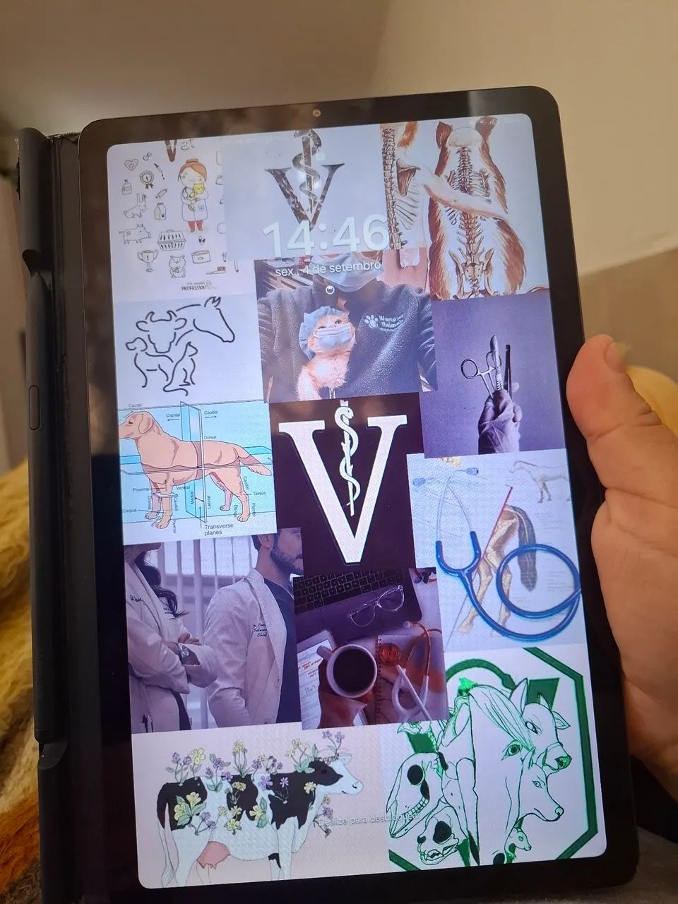 Tablet s6 Samsung 