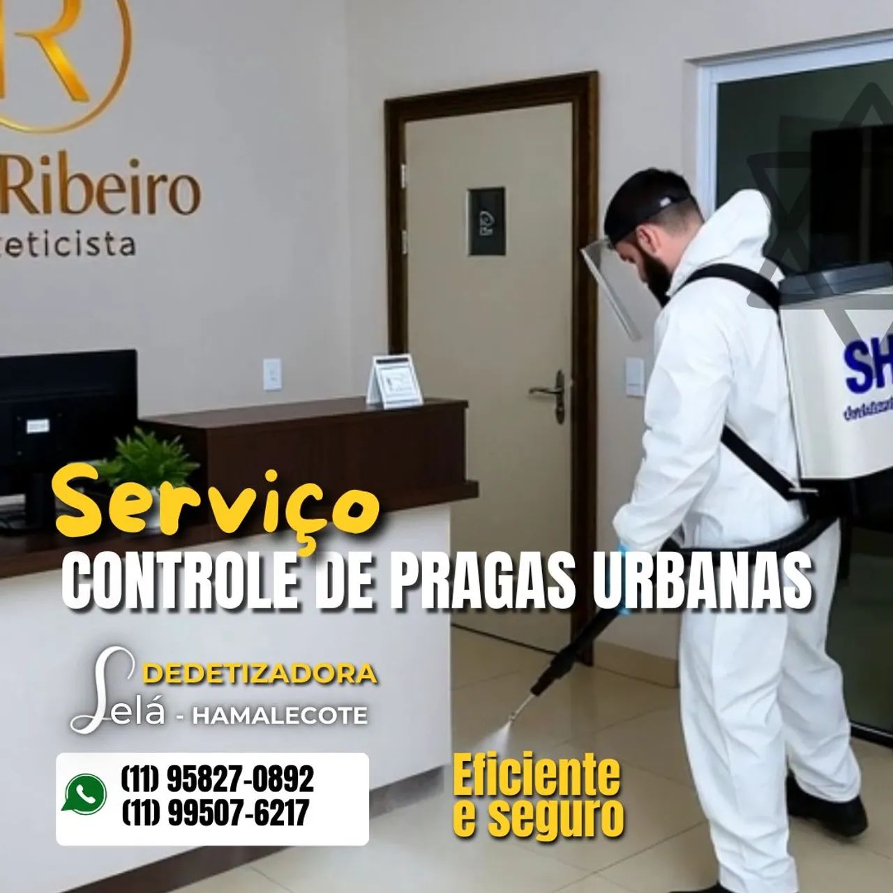 Desratização - Controle de Pragas - Foto 3