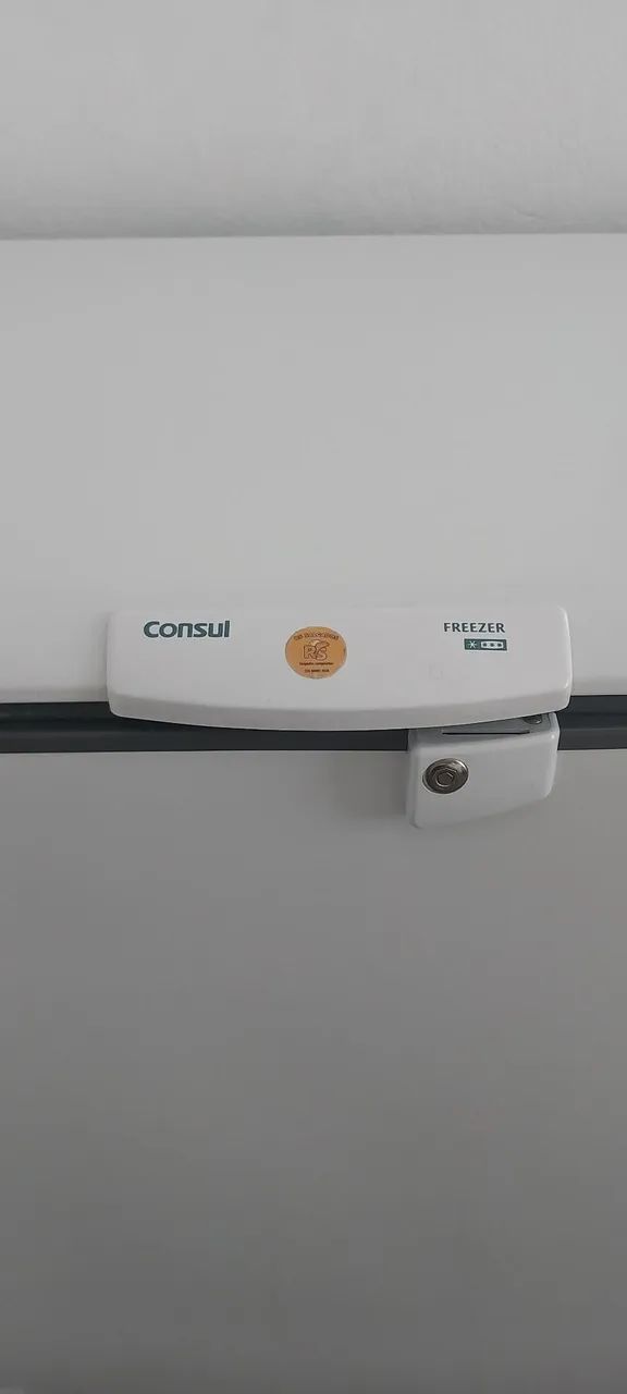 Vendo frezer consul 309 litros  - Foto 4