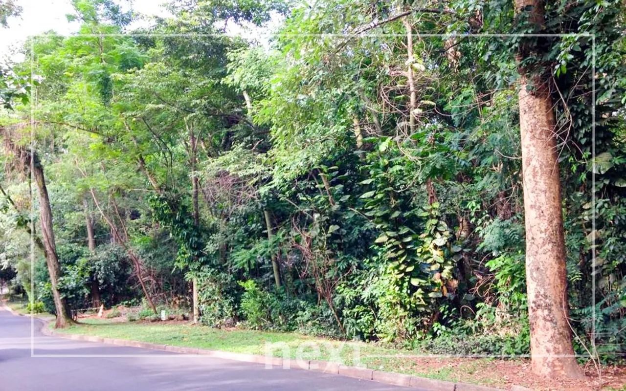 terreno - Parque Sao Quirino - Campinas - Foto 5