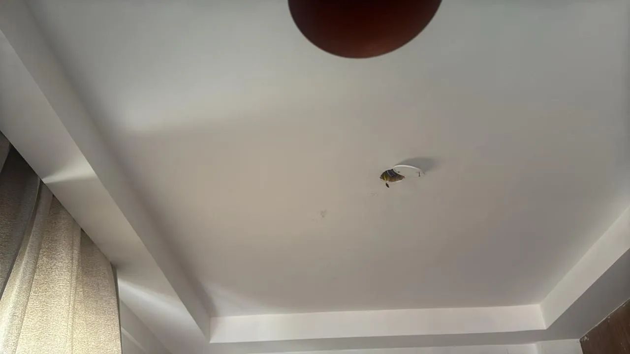 Trabalho com pintura e reparo * - Foto 2