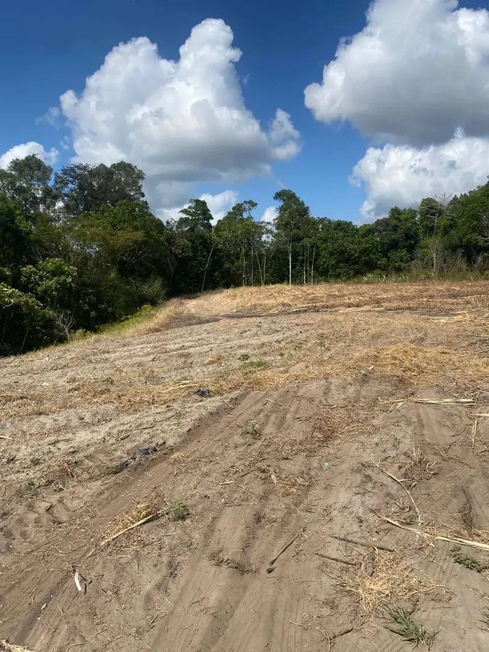 Excelente terreno Rural no Engenho Pitanga, em Igarassu, 4,5ha (123m X 366m) - Foto 9