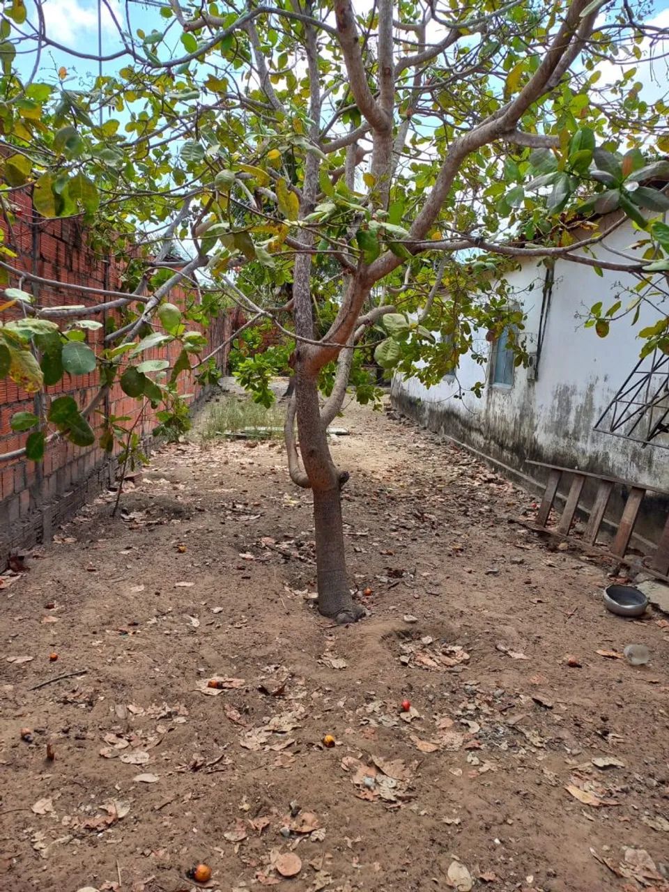 Casa com terreno 10x70 à venda em Horizonte  - Foto 2