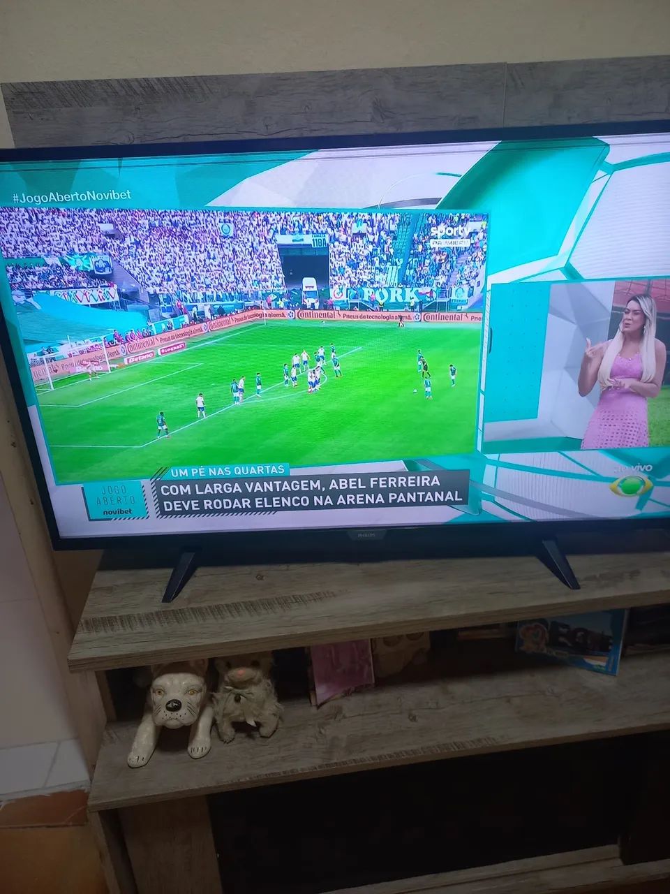 Tv Philips 43 Polegadas 