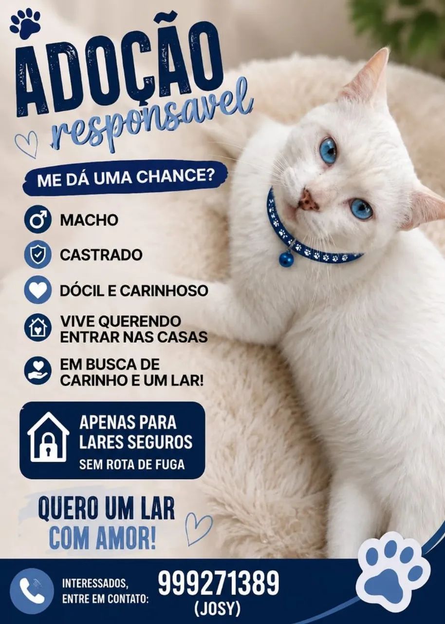 Adoção pra gato 