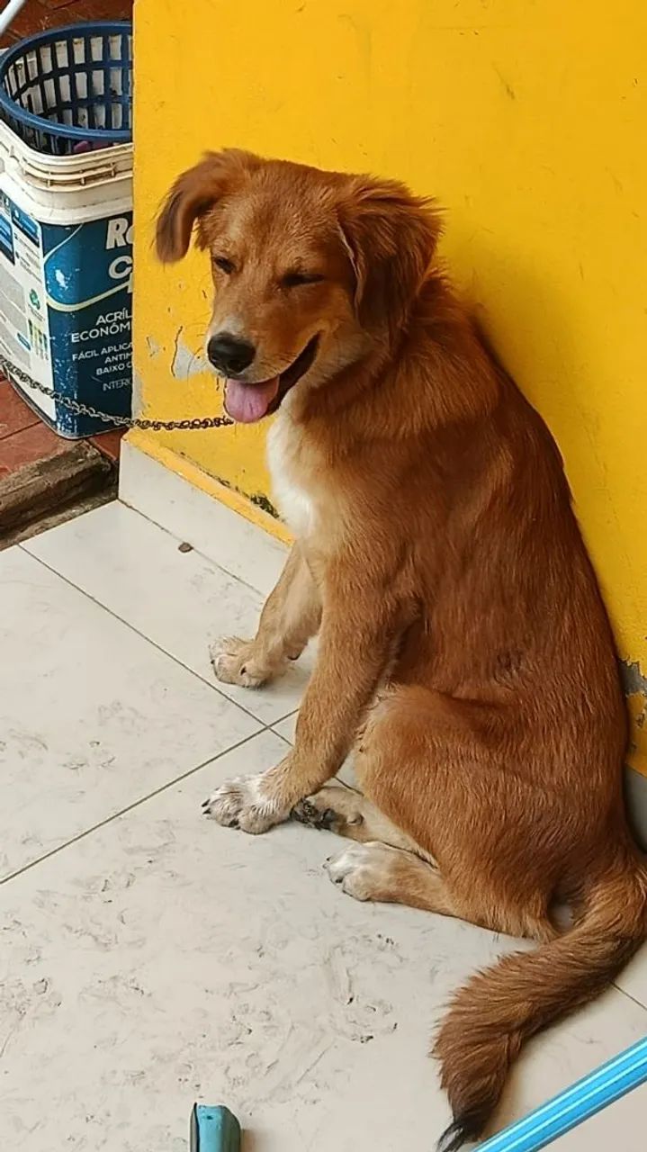 Doação ? - Foto 4
