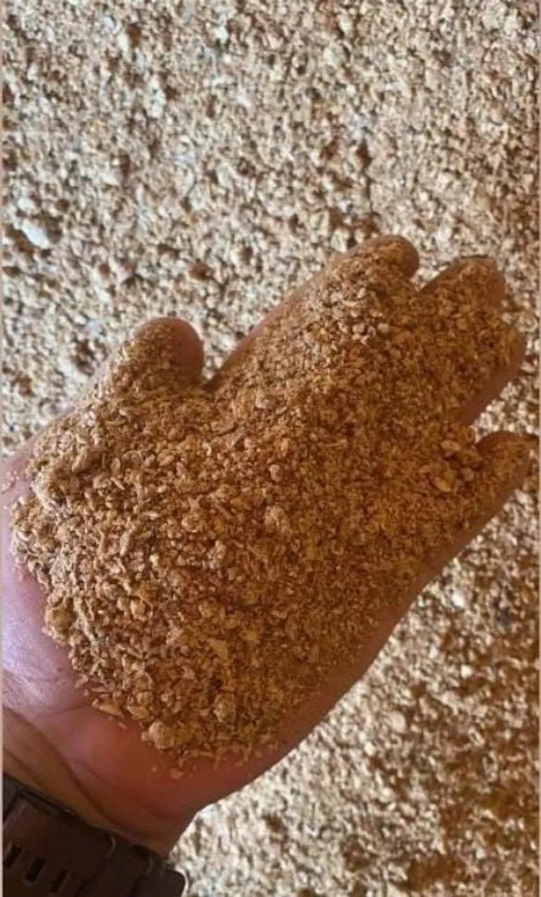 Venda de Milho em Grãos,Soja em Grãos e Farelo de Soja Direto do produtor sem atravessador - Foto 5