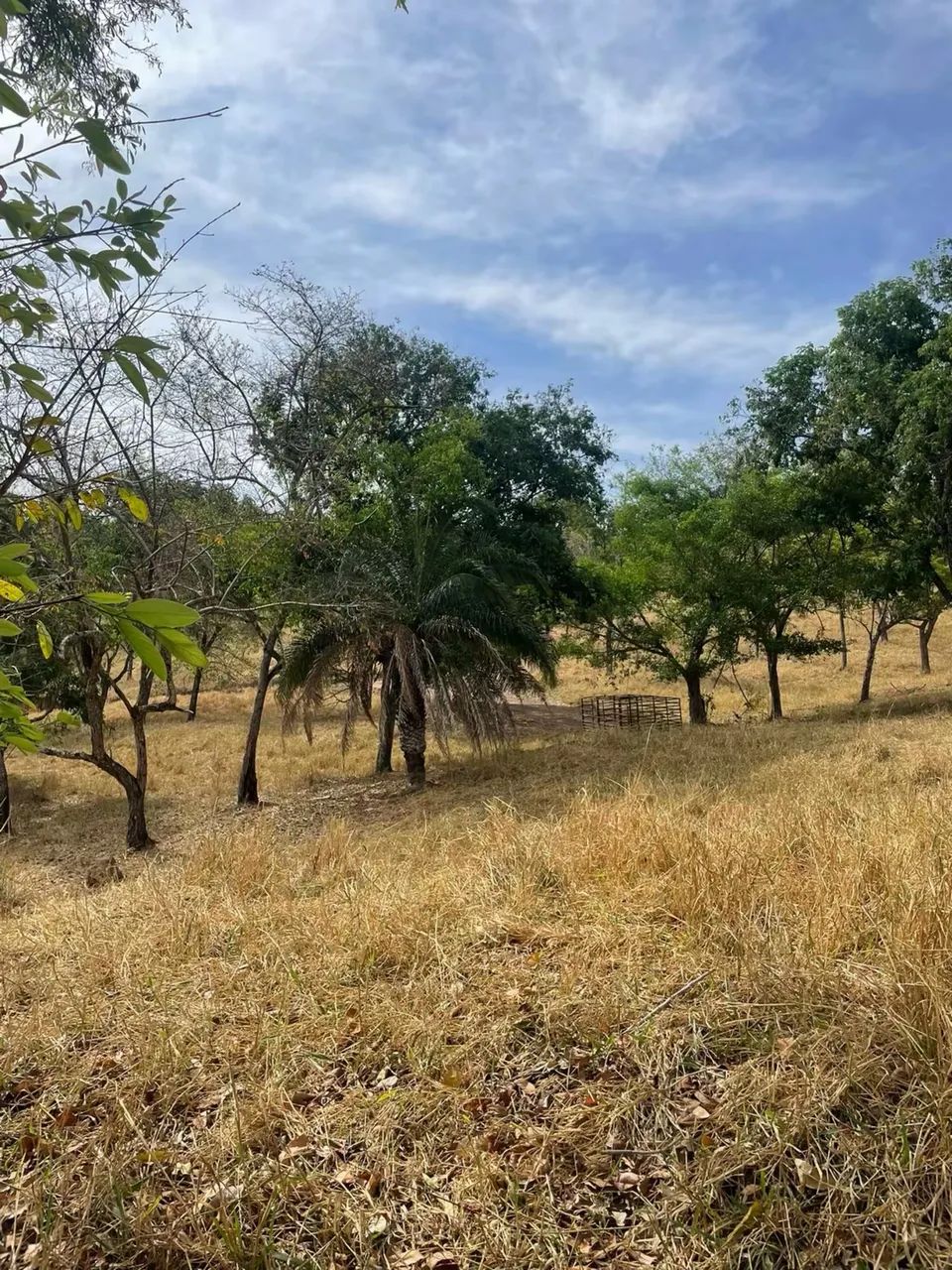 Sítio rico em água  - Foto 5