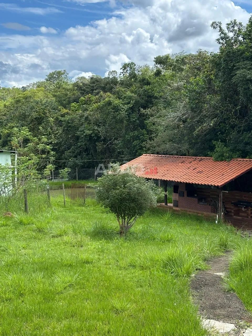 Chácara 20.000m2 - Foto 3