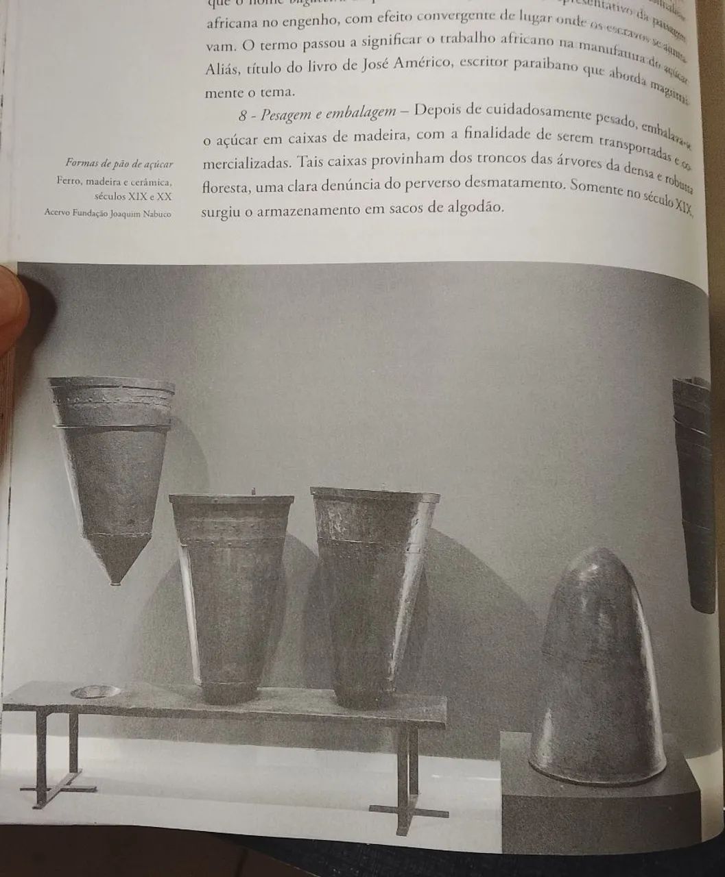 A saga do açúcar  - Foto 4