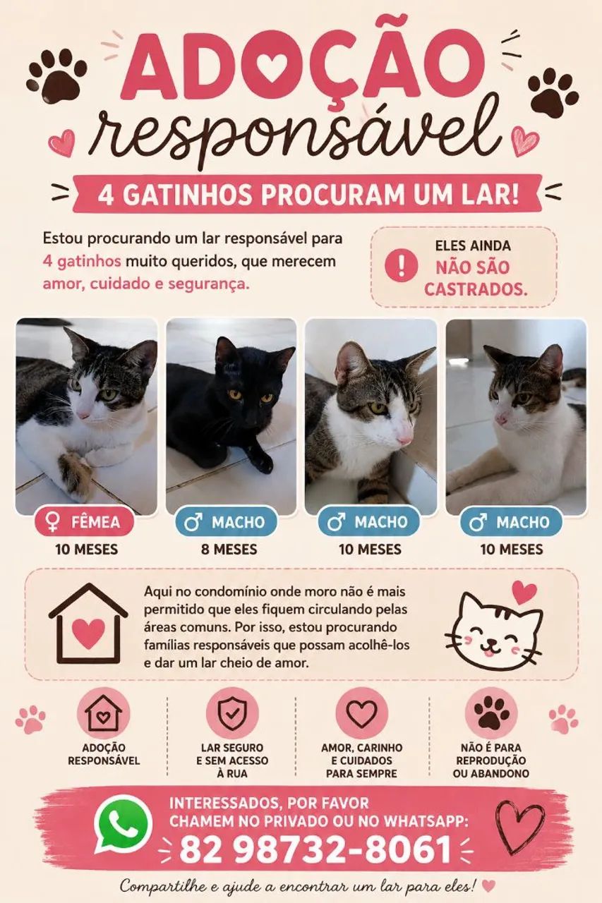Adoção Responsável ?