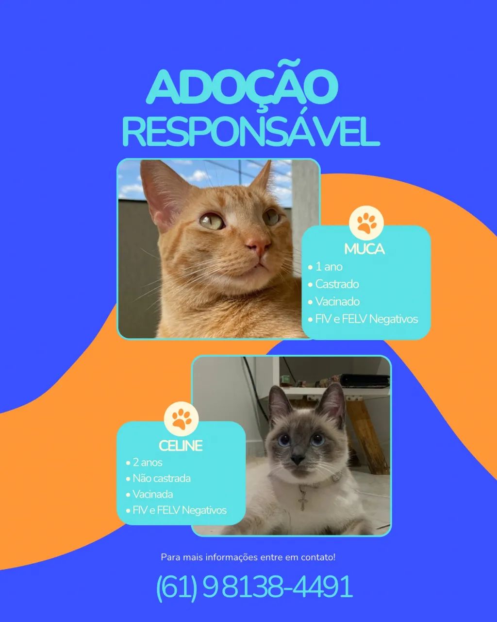 Adoção Responsável 