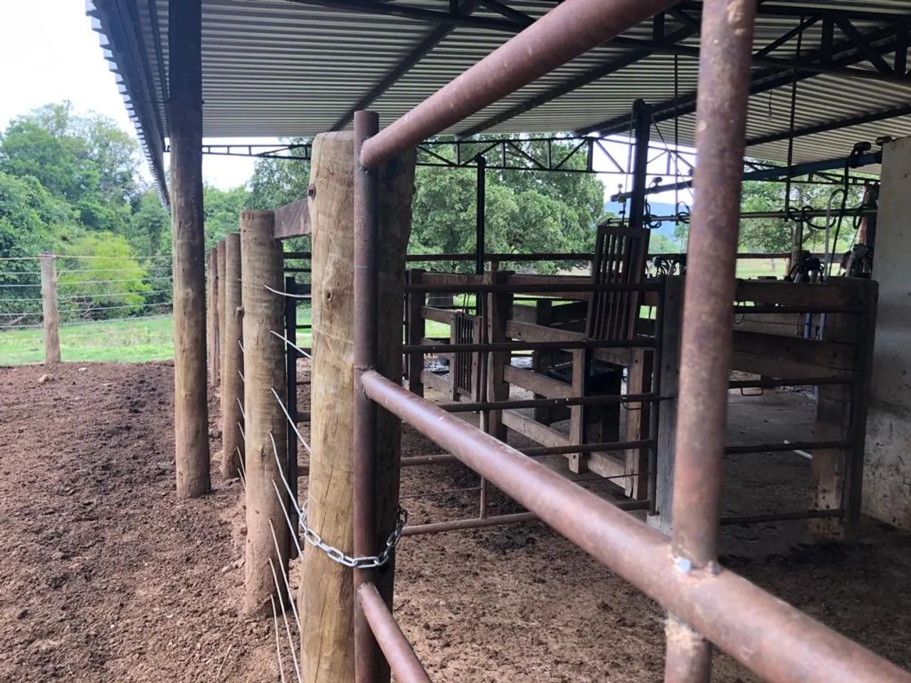 Fazenda em Campinorte-GO. 82 Alqueires - Foto 5