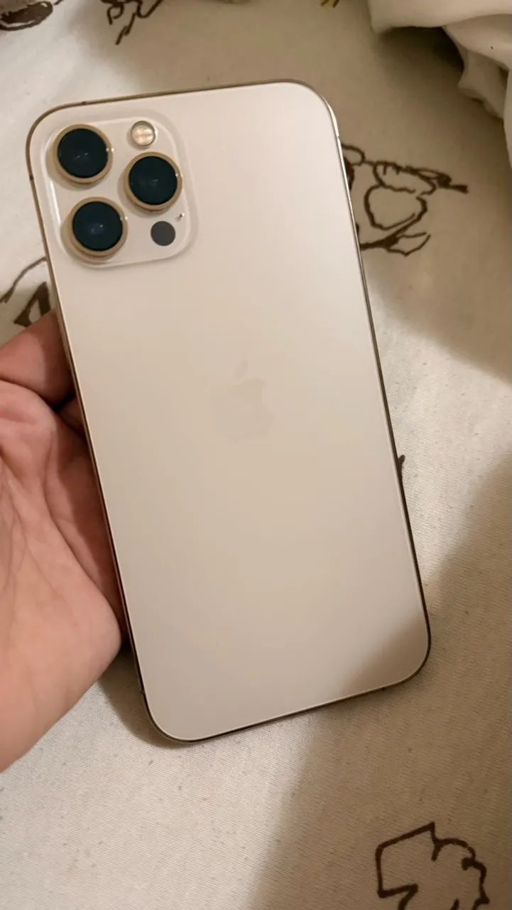 iPhone 12 Pro Max 