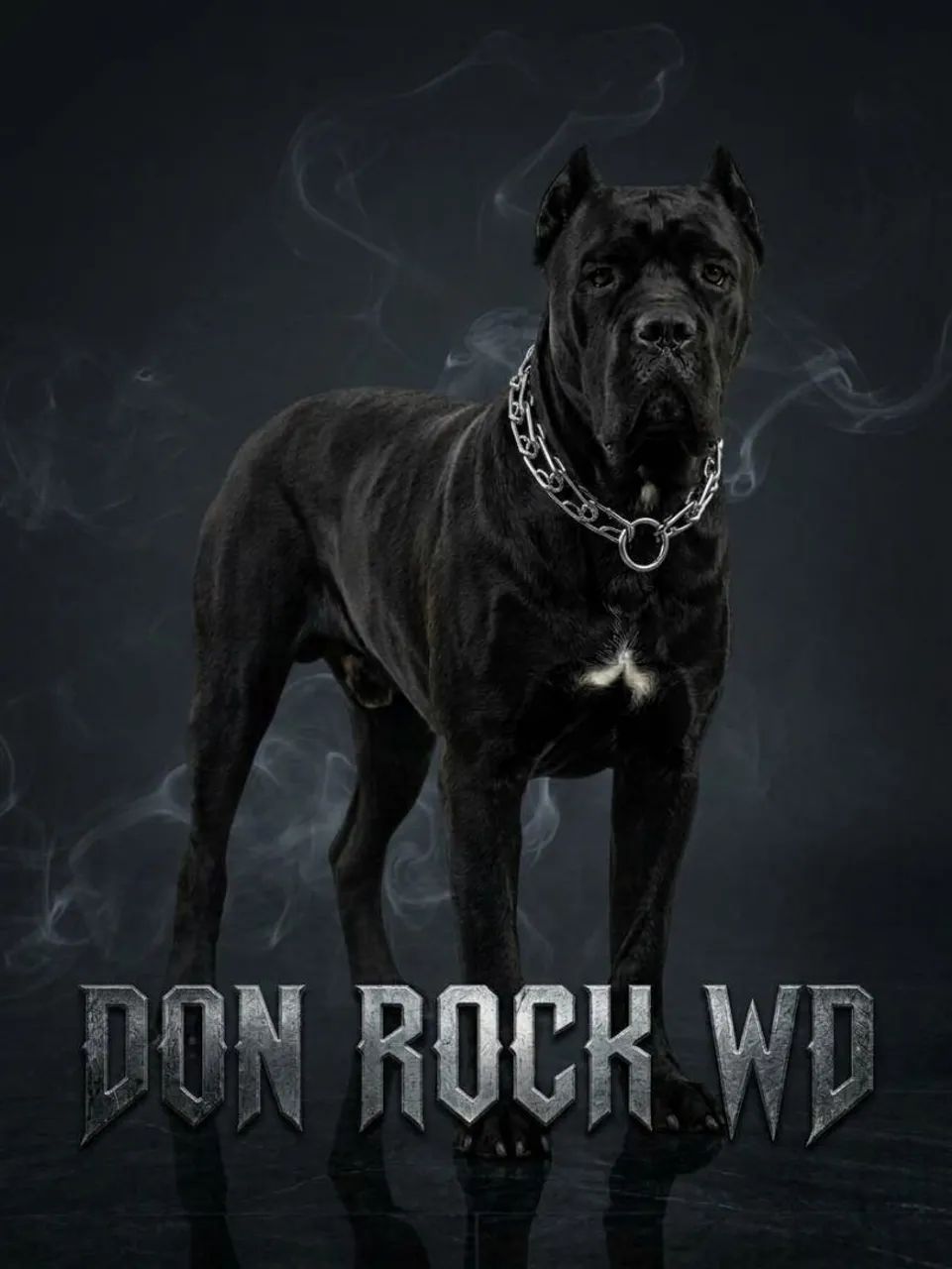CANE CORSO CRUZA  - Foto 3