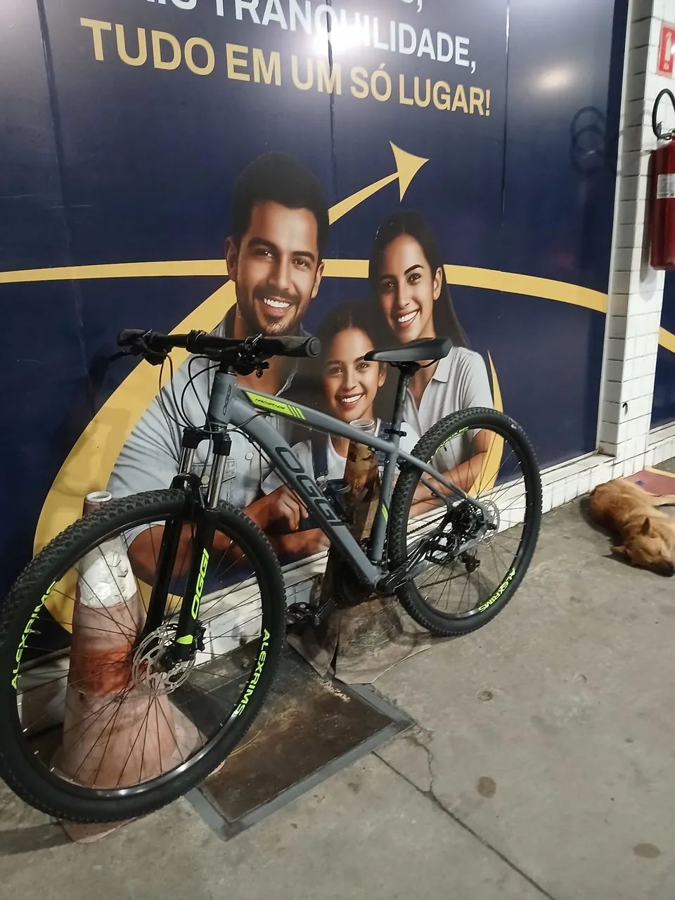 Bike aro 29