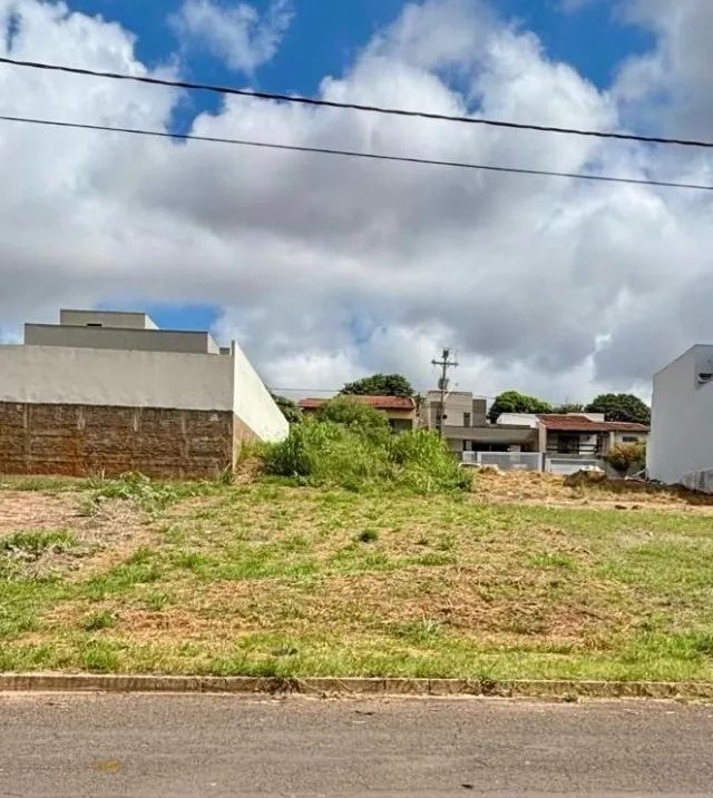 Foto - Lins - Parque Xingu