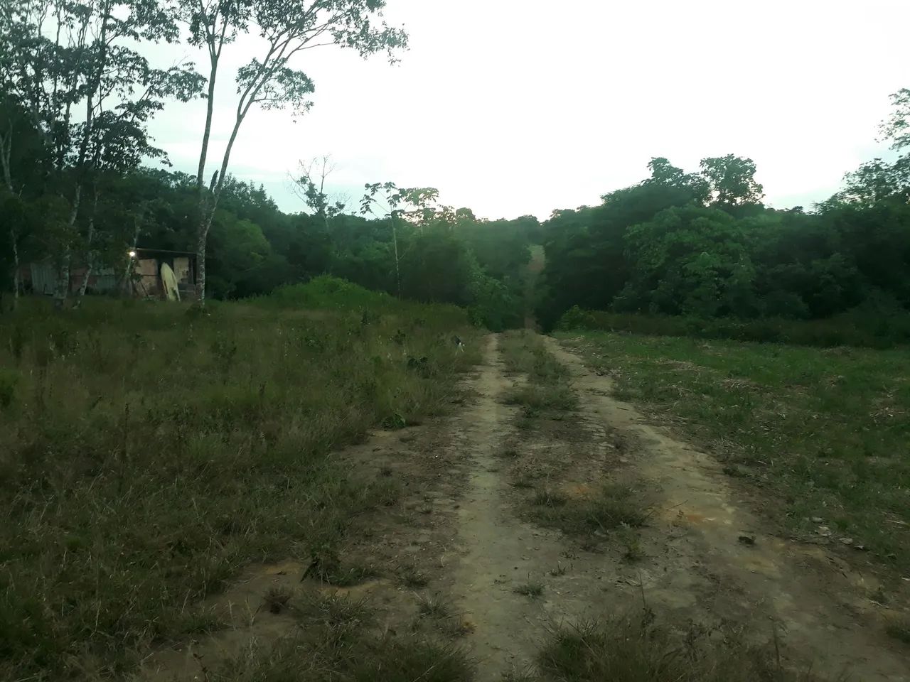 *TERRO IRANDUBA RAMAL SANTO ANTÔNIO  - Foto 3