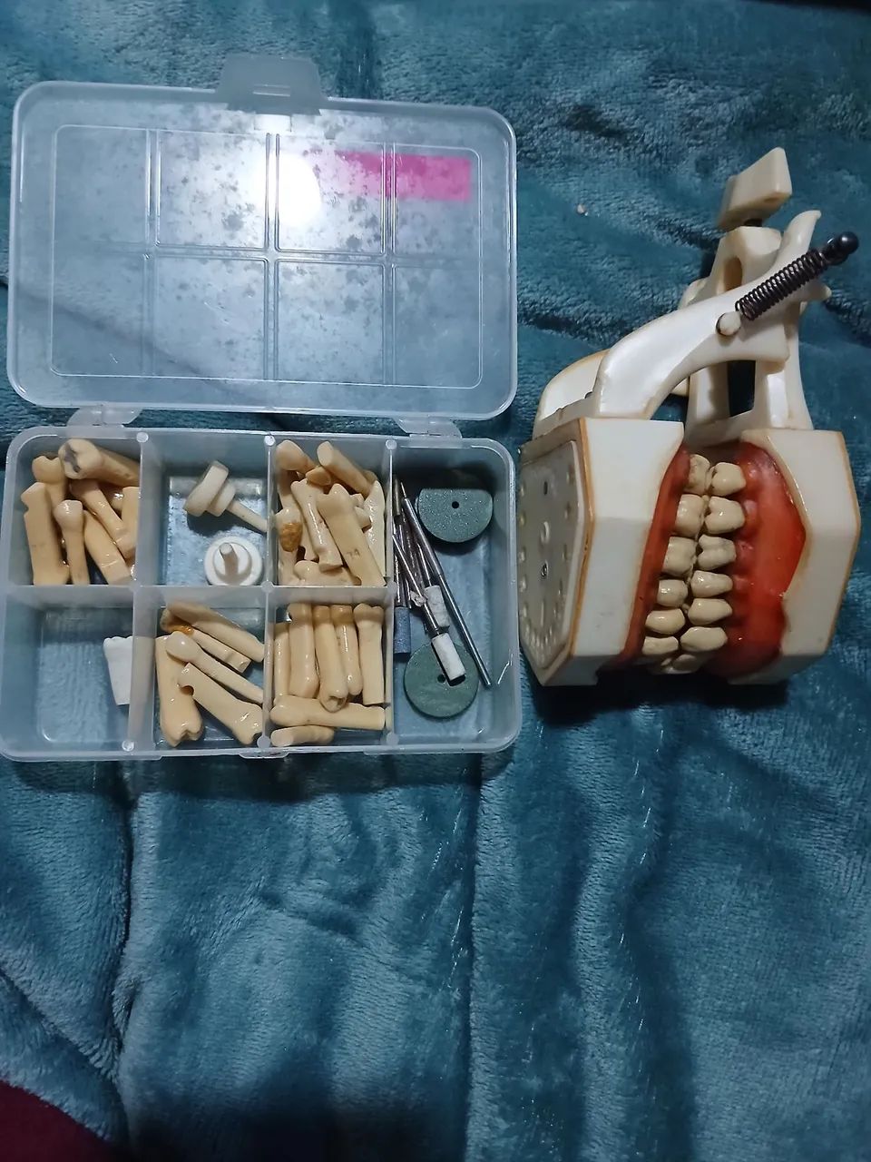 Manequim prodens com dentes extras e saca dentes perio dentística - Foto 4
