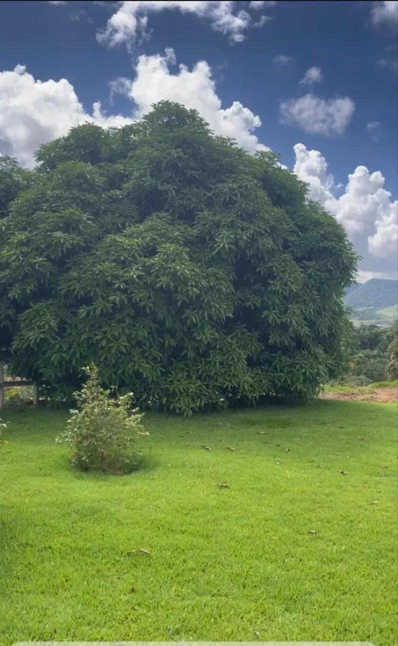 Vendo linda chácara em Muribeca  - Foto 2