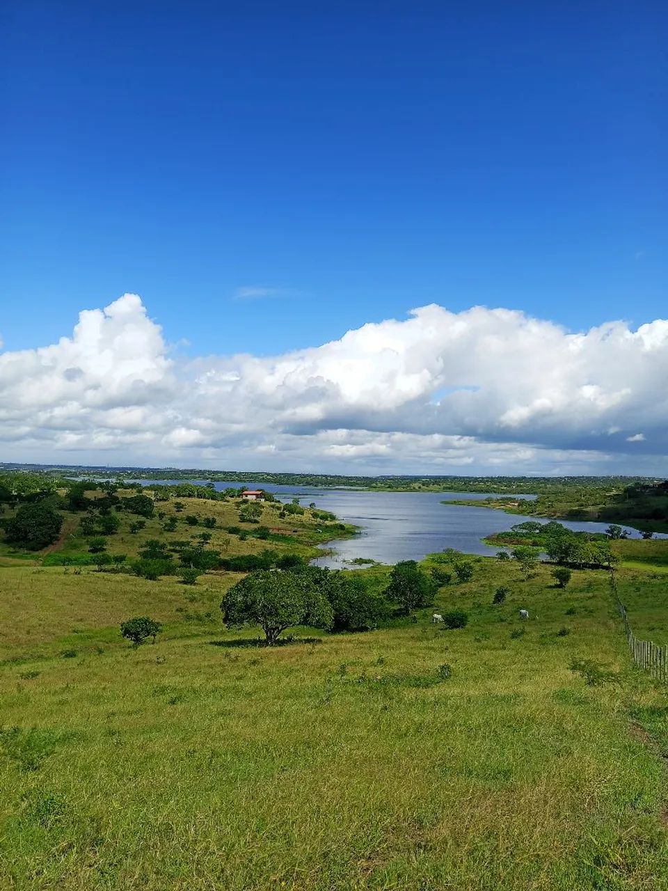 Terrenos em Antônio Cardoso. A partir 70 mil - Foto 2