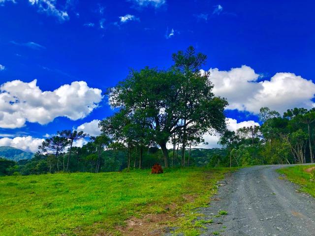 Chácara com cachoeira em Urubici - Foto 2