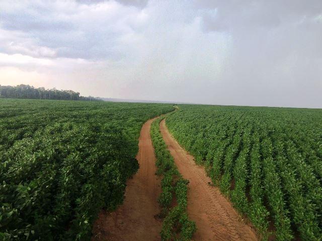 Fazenda 470 ha com 300 em Lavoura Matupá MT - Foto 7