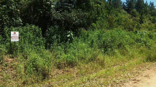 Chácara c/3,2 ha, Morro dos Barretos - Montenegro - 94 - Foto 6