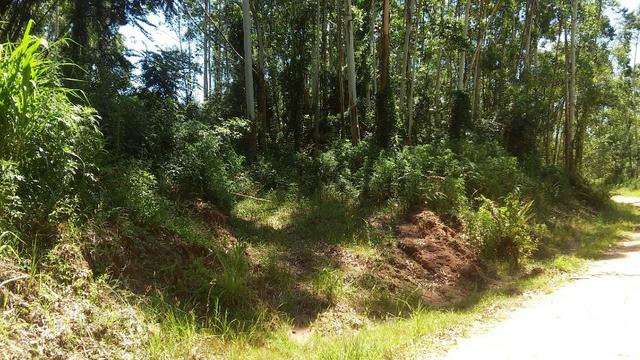 Chácara c/3,2 ha, Morro dos Barretos - Montenegro - 94 - Foto 3