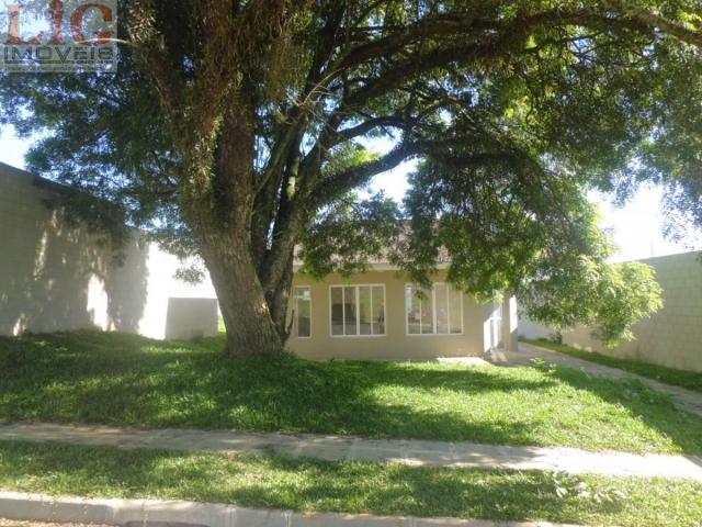 Terreno, Pinheirinho, Curitiba-PR - Foto 8