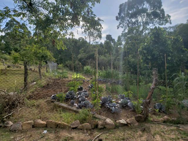 Sitio - Foto 6