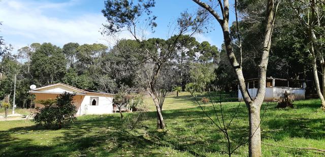 Vendo ou Troco Chácara em Contenda - 3.600 m2 - Foto 7