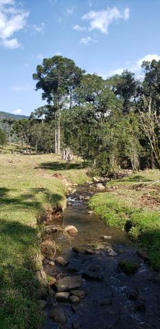 Sítio em Urubici/área rural /casa em Urubici - Foto 17