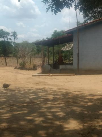 Chácara - Foto 5