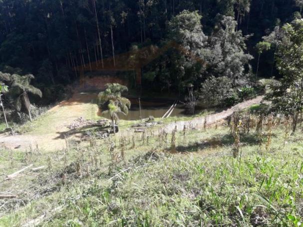 Chácara para venda em campina grande do sul, capivari - Foto 6
