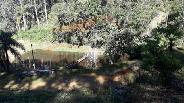 Chácara para venda em campina grande do sul, capivari