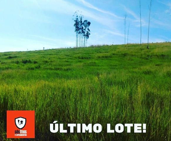 Último lote, ssiba mais!